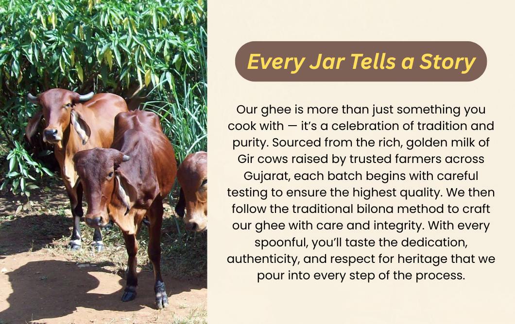 A2 Gir Cow Bilona Ghee